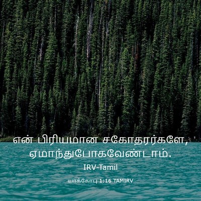 Picture 03 - யாக்கோபு 1:16 TAMIRV - என் பிரியமான - Bible Verse Picture