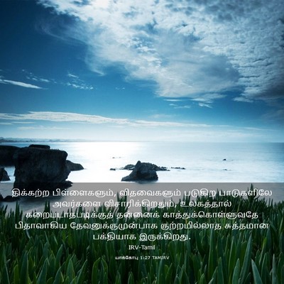 Picture 03 - யாக்கோபு 1:27 TAMIRV - திக்கற்ற - Bible Verse Picture