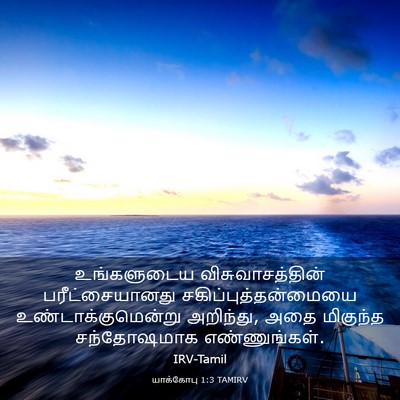 Picture 03 - யாக்கோபு 1:3 TAMIRV - உங்களுடைய - Bible Verse Picture