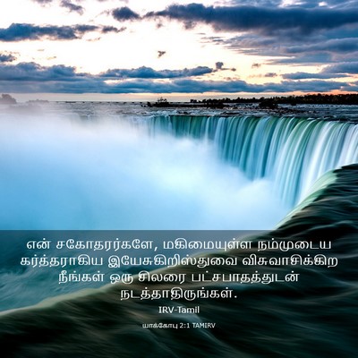 Picture 03 - யாக்கோபு 2:1 TAMIRV - என் சகோதரர்களே, - Bible Verse Picture