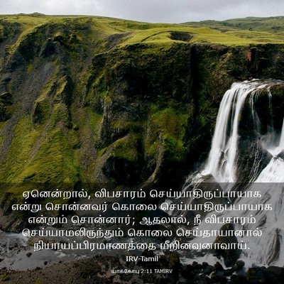 Picture 03 - யாக்கோபு 2:11 TAMIRV - ஏனென்றால், - Bible Verse Picture