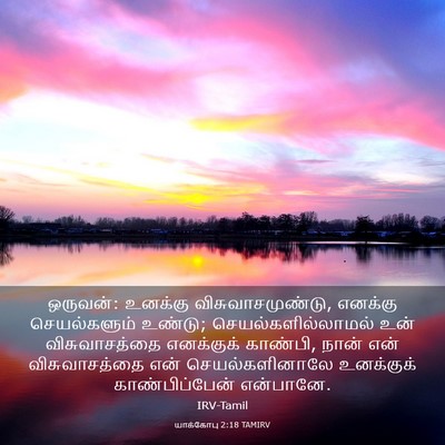 Picture 03 - யாக்கோபு 2:18 TAMIRV - ஒருவன்: உனக்கு - Bible Verse Picture