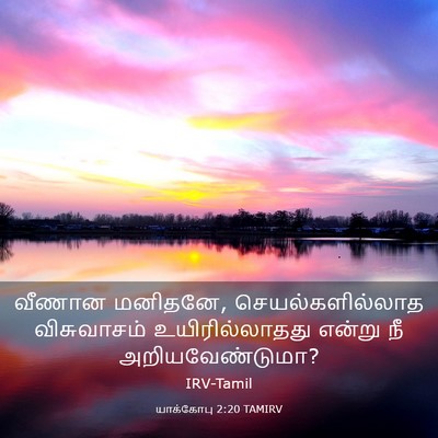 Picture 03 - யாக்கோபு 2:20 TAMIRV - வீணான மனிதனே, - Bible Verse Picture