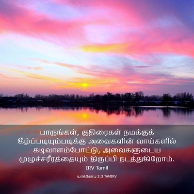 Picture 03 - யாக்கோபு 3:3 TAMIRV - பாருங்கள், - Bible Verse Picture