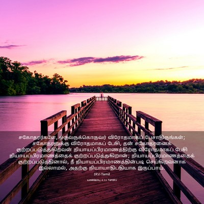 Picture 03 - யாக்கோபு 4:11 TAMIRV - சகோதரர்களே, - Bible Verse Picture