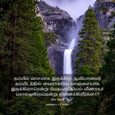 Picture 03 - யாக்கோபு 4:5 TAMIRV - நம்மில் வாசமாக - Bible Verse Picture