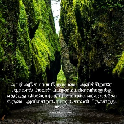 Picture 03 - யாக்கோபு 4:6 TAMIRV - அவர் அதிகமான - Bible Verse Picture