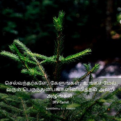 Picture 03 - யாக்கோபு 5:1 TAMIRV - செல்வந்தர்களே, - Bible Verse Picture