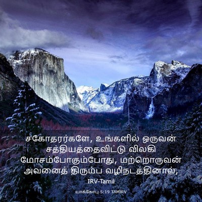 Picture 03 - யாக்கோபு 5:19 TAMIRV - சகோதரர்களே, - Bible Verse Picture