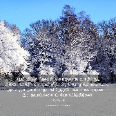 Picture 03 - யாக்கோபு 5:5 TAMIRV - பூமியிலே நீங்கள் - Bible Verse Picture