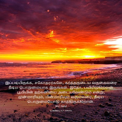 Picture 03 - யாக்கோபு 5:7 TAMIRV - இப்படியிருக்க, - Bible Verse Picture
