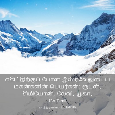 Picture 03 - யாத்திராகமம் 1:1 TAMIRV - எகிப்திற்குப் போன - Bible Verse Picture