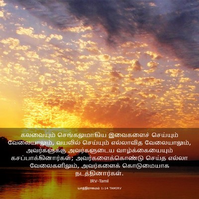 Picture 03 - யாத்திராகமம் 1:14 TAMIRV - கலவையும் - Bible Verse Picture