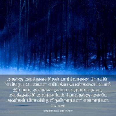 Picture 03 - யாத்திராகமம் 1:19 TAMIRV - அதற்கு - Bible Verse Picture