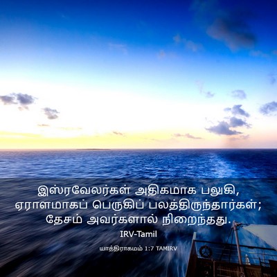 Picture 03 - யாத்திராகமம் 1:7 TAMIRV - இஸ்ரவேலர்கள் - Bible Verse Picture