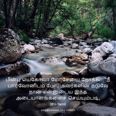 Picture 03 - யாத்திராகமம் 10:1 TAMIRV - பின்பு யெகோவா - Bible Verse Picture