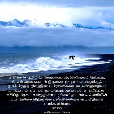 Picture 03 - யாத்திராகமம் 10:15 TAMIRV - அவைகள் பூமியின் - Bible Verse Picture