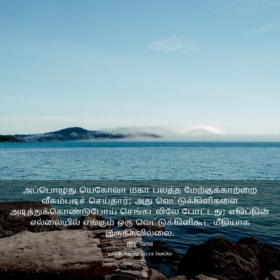 Picture 03 - யாத்திராகமம் 10:19 TAMIRV - அப்பொழுது யெகோவா - Bible Verse Picture