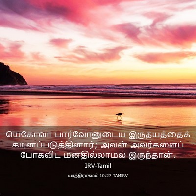 Picture 03 - யாத்திராகமம் 10:27 TAMIRV - யெகோவா - Bible Verse Picture