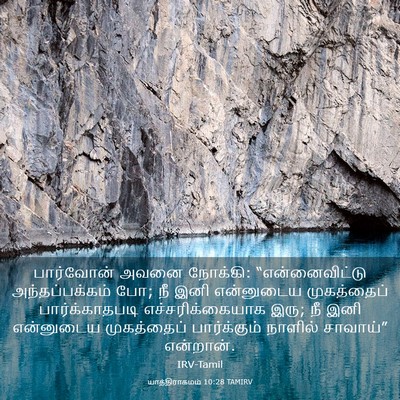 Picture 03 - யாத்திராகமம் 10:28 TAMIRV - பார்வோன் அவனை - Bible Verse Picture