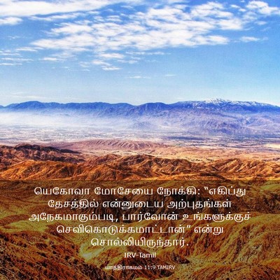 Picture 03 - யாத்திராகமம் 11:9 TAMIRV - யெகோவா மோசேயை - Bible Verse Picture