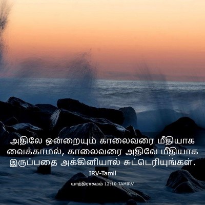 Picture 03 - யாத்திராகமம் 12:10 TAMIRV - அதிலே ஒன்றையும் - Bible Verse Picture