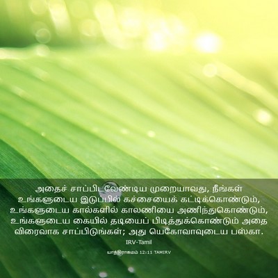 Picture 03 - யாத்திராகமம் 12:11 TAMIRV - அதைச் - Bible Verse Picture