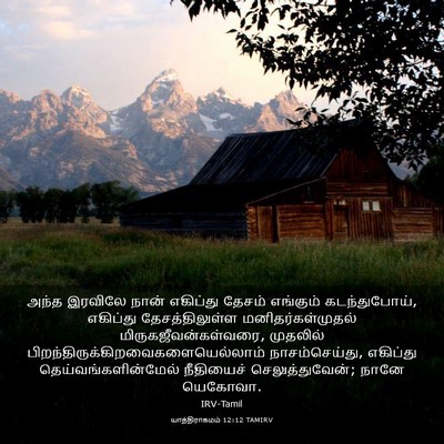 Picture 03 - யாத்திராகமம் 12:12 TAMIRV - அந்த இரவிலே நான் - Bible Verse Picture