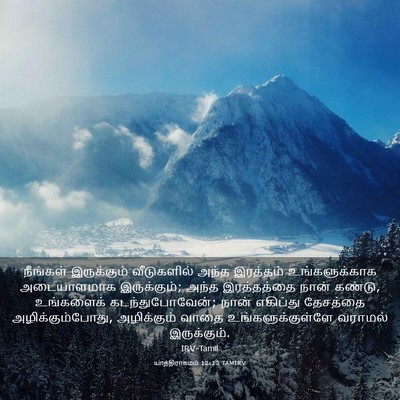 Picture 03 - யாத்திராகமம் 12:13 TAMIRV - நீங்கள் இருக்கும் - Bible Verse Picture