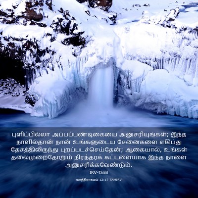 Picture 03 - யாத்திராகமம் 12:17 TAMIRV - புளிப்பில்லா - Bible Verse Picture