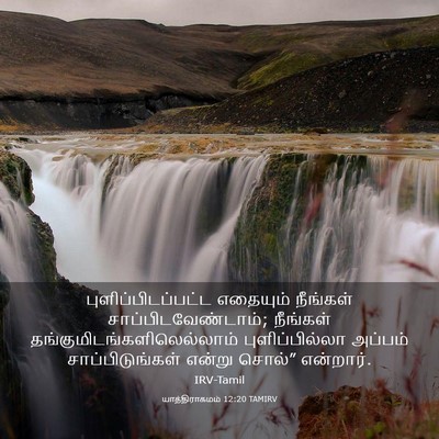 Picture 03 - யாத்திராகமம் 12:20 TAMIRV - புளிப்பிடப்பட்ட - Bible Verse Picture