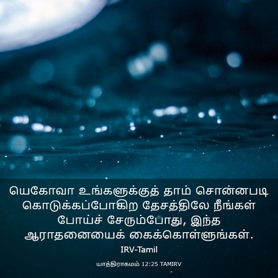 Picture 03 - யாத்திராகமம் 12:25 TAMIRV - யெகோவா - Bible Verse Picture
