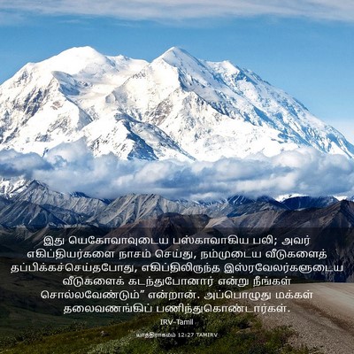 Picture 03 - யாத்திராகமம் 12:27 TAMIRV - இது யெகோவாவுடைய - Bible Verse Picture