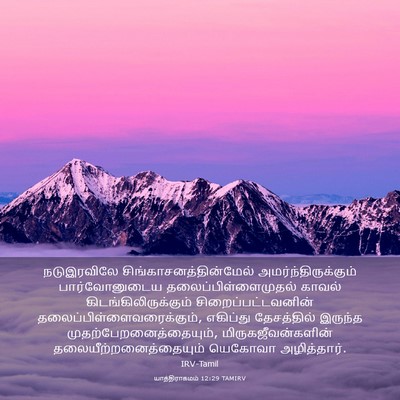 Picture 03 - யாத்திராகமம் 12:29 TAMIRV - நடுஇரவிலே - Bible Verse Picture