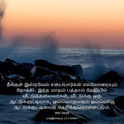 Picture 03 - யாத்திராகமம் 12:3 TAMIRV - நீங்கள் இஸ்ரவேல் - Bible Verse Picture
