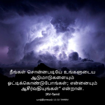 Picture 03 - யாத்திராகமம் 12:32 TAMIRV - நீங்கள் - Bible Verse Picture