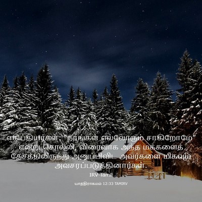 Picture 03 - யாத்திராகமம் 12:33 TAMIRV - எகிப்தியர்கள்: - Bible Verse Picture