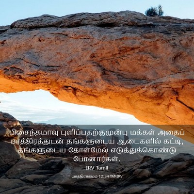 Picture 03 - யாத்திராகமம் 12:34 TAMIRV - பிசைந்தமாவு - Bible Verse Picture