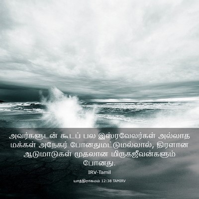 Picture 03 - யாத்திராகமம் 12:38 TAMIRV - அவர்களுடன் கூடப் - Bible Verse Picture