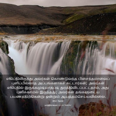 Picture 03 - யாத்திராகமம் 12:39 TAMIRV - எகிப்திலிருந்து - Bible Verse Picture