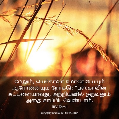 Picture 03 - யாத்திராகமம் 12:43 TAMIRV - மேலும், யெகோவா - Bible Verse Picture