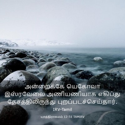 Picture 03 - யாத்திராகமம் 12:51 TAMIRV - அன்றைக்கே யெகோவா - Bible Verse Picture