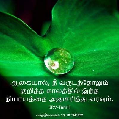 Picture 03 - யாத்திராகமம் 13:10 TAMIRV - ஆகையால், நீ - Bible Verse Picture
