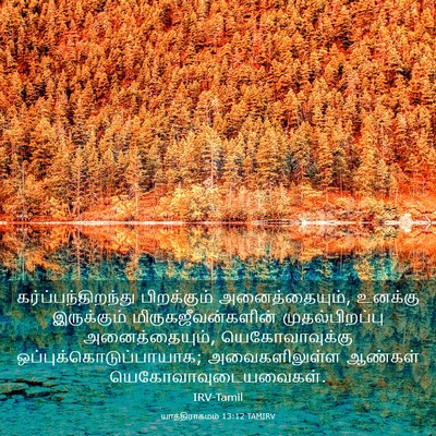 Picture 03 - யாத்திராகமம் 13:12 TAMIRV - கர்ப்பந்திறந்து - Bible Verse Picture