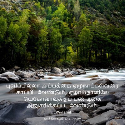 Picture 03 - யாத்திராகமம் 13:6 TAMIRV - புளிப்பில்லா - Bible Verse Picture