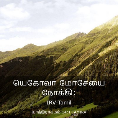 Picture 03 - யாத்திராகமம் 14:1 TAMIRV - யெகோவா மோசேயை - Bible Verse Picture