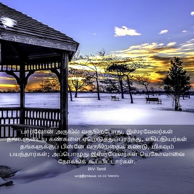 Picture 03 - யாத்திராகமம் 14:10 TAMIRV - பார்வோன் அருகில் - Bible Verse Picture
