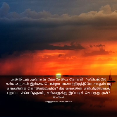 Picture 03 - யாத்திராகமம் 14:11 TAMIRV - அன்றியும் அவர்கள் - Bible Verse Picture