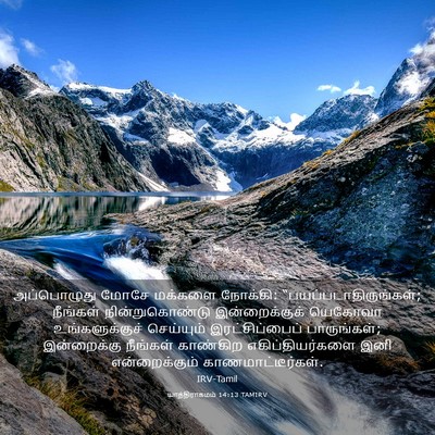 Picture 03 - யாத்திராகமம் 14:13 TAMIRV - அப்பொழுது மோசே - Bible Verse Picture