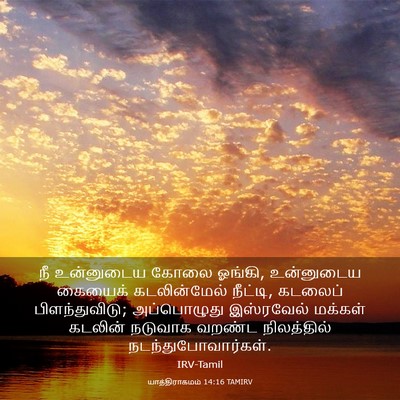 Picture 03 - யாத்திராகமம் 14:16 TAMIRV - நீ உன்னுடைய கோலை - Bible Verse Picture